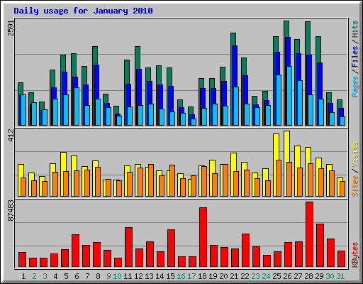 Daily usage for January 2010