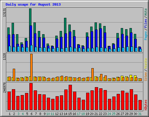 Daily usage for August 2013