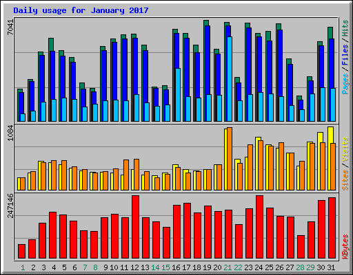 Daily usage for January 2017