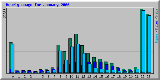 Hourly usage for January 2006
