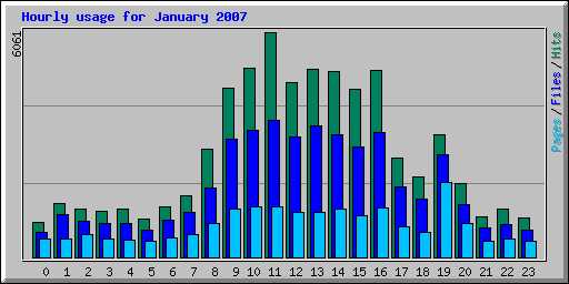 Hourly usage for January 2007