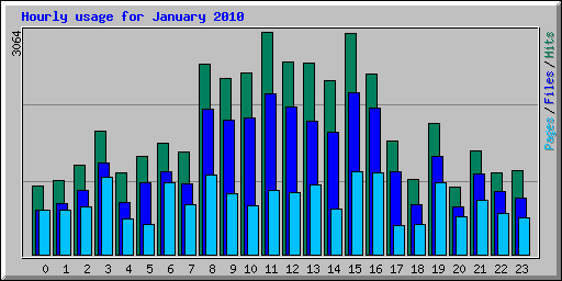 Hourly usage for January 2010