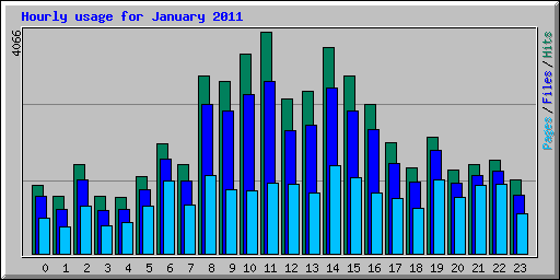 Hourly usage for January 2011