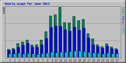 Hourly usage for June 2013