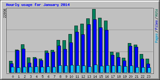 Hourly usage for January 2014