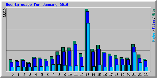 Hourly usage for January 2016