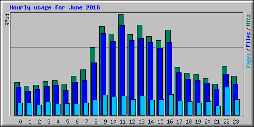 Hourly usage for June 2016
