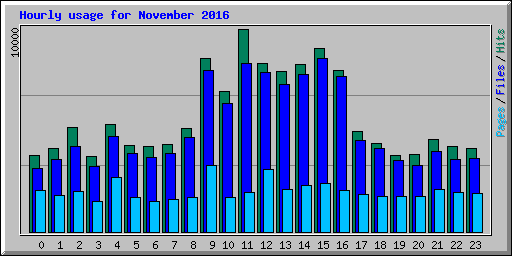 Hourly usage for November 2016