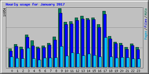 Hourly usage for January 2017