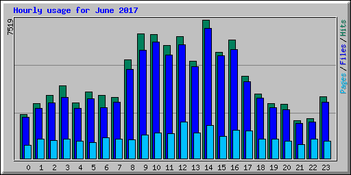 Hourly usage for June 2017