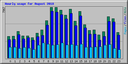 Hourly usage for August 2018