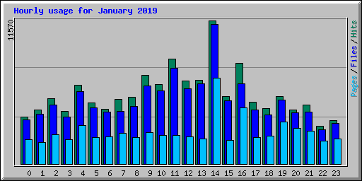 Hourly usage for January 2019
