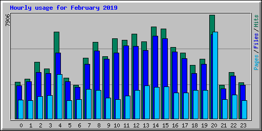 Hourly usage for February 2019