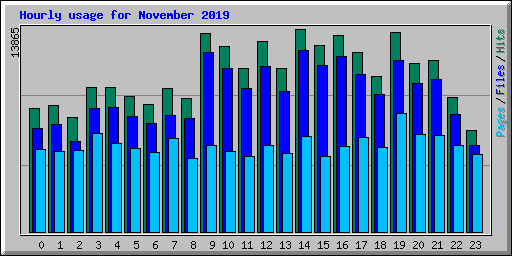 Hourly usage for November 2019