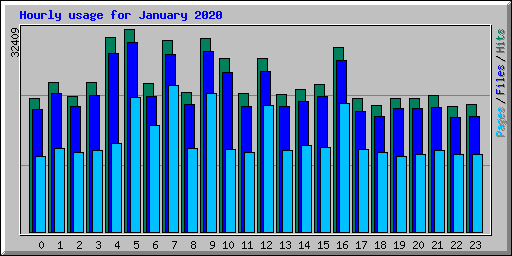 Hourly usage for January 2020