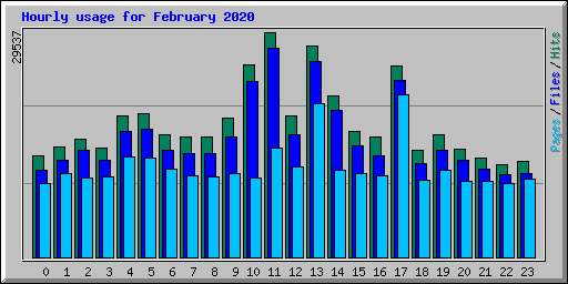 Hourly usage for February 2020