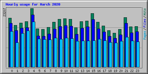 Hourly usage for March 2020