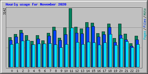 Hourly usage for November 2020
